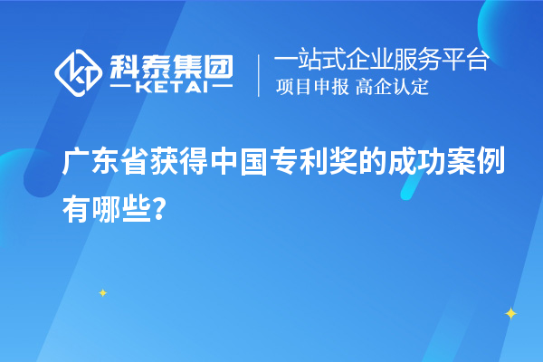 廣東省獲得中國專利獎(jiǎng)的成功案例有哪些？