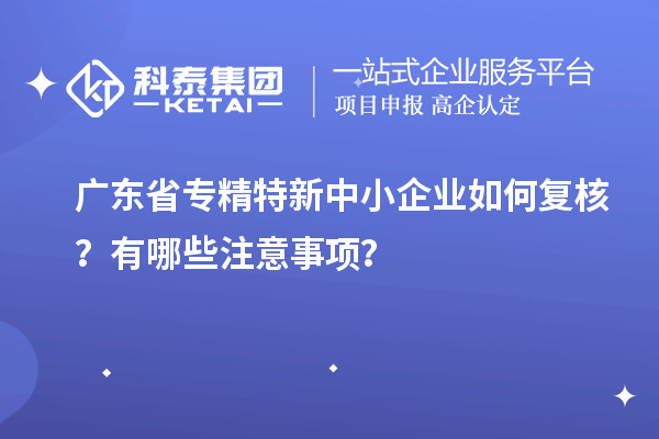 廣東省專(zhuān)精特新中小企業(yè)如何復(fù)核？有哪些注意事項(xiàng)？