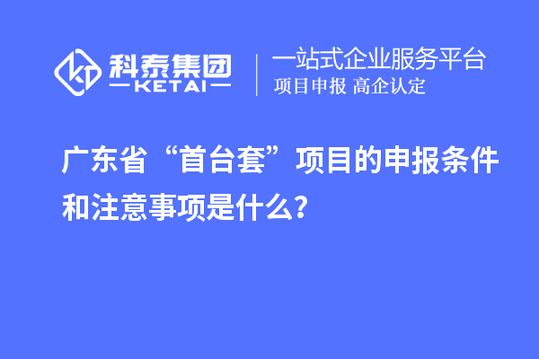 廣東省“首臺套”項目的申報條件和注意事項是什么？
