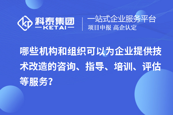 哪些機構(gòu)和組織可以為企業(yè)提供技術(shù)改造的咨詢、指導(dǎo)、培訓(xùn)、評估等服務(wù)？