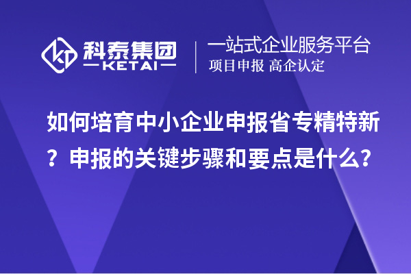如何培育中小企業(yè)申報省專精特新？申報的關(guān)鍵步驟和要點是什么？