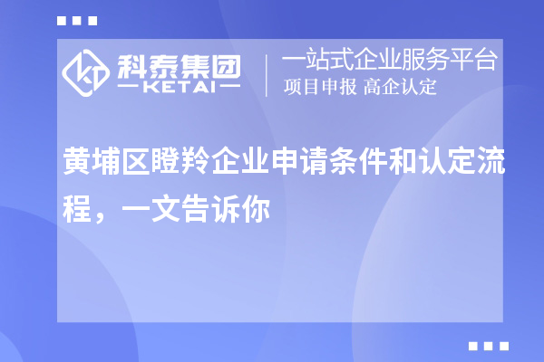 黃埔區(qū)瞪羚企業(yè)申請條件和認定流程，一文告訴你