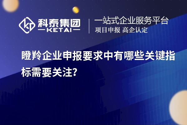 瞪羚企業(yè)申報要求中有哪些關鍵指標需要關注？
