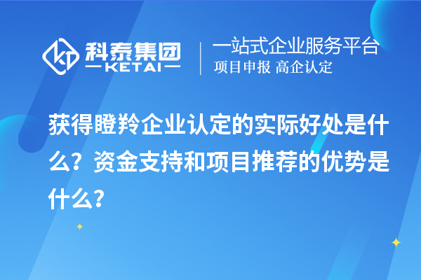 獲得瞪羚企業(yè)認定的實際好處是什么？資金支持和項目推薦的優(yōu)勢是什么？
