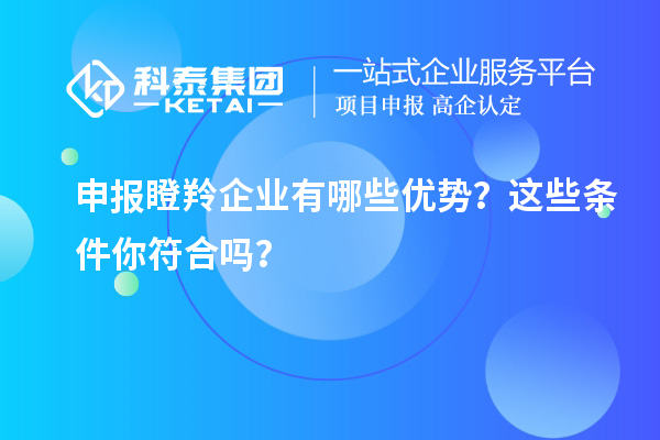 申報瞪羚企業(yè)有哪些優(yōu)勢？這些條件你符合嗎？