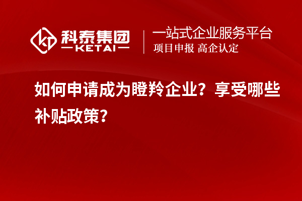 如何申請(qǐng)成為瞪羚企業(yè)？享受哪些補(bǔ)貼政策？