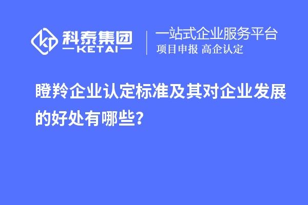 <a href=http://www.a910078829.cn/fuwu/dengling.html target=_blank class=infotextkey>瞪羚企業(yè)認(rèn)定</a>標(biāo)準(zhǔn)及其對企業(yè)發(fā)展的好處有哪些？