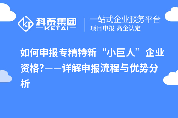 如何申報(bào)專精特新“小巨人”企業(yè)資格?——詳解申報(bào)流程與優(yōu)勢分析