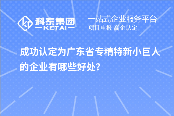 成功認(rèn)定為廣東省專精特新小巨人的企業(yè)有哪些好處?