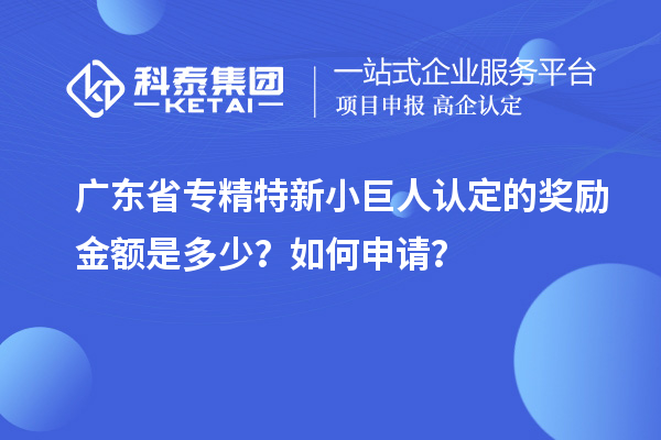 廣東省專精特新小巨人認(rèn)定的獎(jiǎng)勵(lì)金額是多少？如何申請(qǐng)？