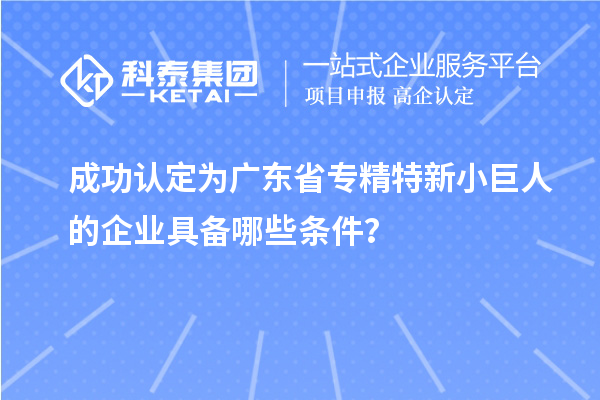 成功認(rèn)定為廣東省專精特新小巨人的企業(yè)具備哪些條件？