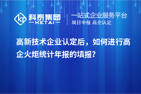 高新技術(shù)企業(yè)認定后，如何進行高企火炬統(tǒng)計年報的填報？