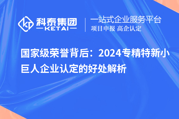 國家級榮譽背后：2024專精特新小巨人企業(yè)認(rèn)定的好處解析