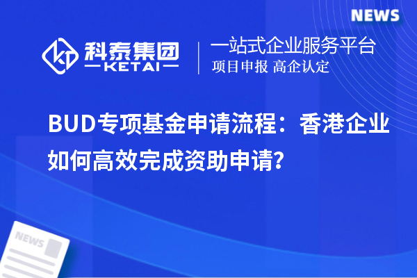 BUD專項基金申請流程:香港企業(yè)如何高效完成資助申請?