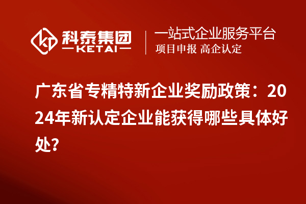 廣東省專精特新企業(yè)獎勵政策：2024年新認定企業(yè)能獲得哪些具體好處？