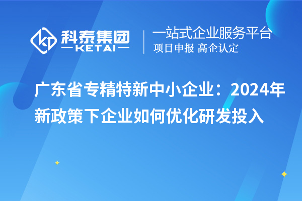 廣東省專(zhuān)精特新中小企業(yè):2024年新政策下企業(yè)如何優(yōu)化研發(fā)投入