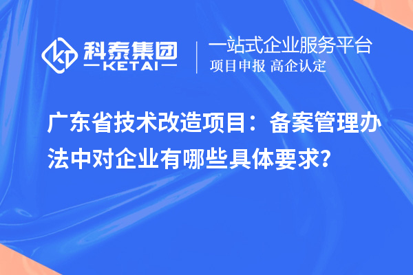 廣東省技術(shù)改造項(xiàng)目：備案管理辦法中對企業(yè)有哪些具體要求？