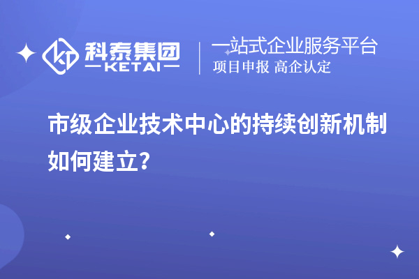 市級企業(yè)技術(shù)中心的持續(xù)創(chuàng)新機制如何建立？