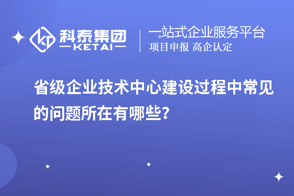 省級(jí)企業(yè)技術(shù)中心建設(shè)過程中常見的問題所在有哪些？