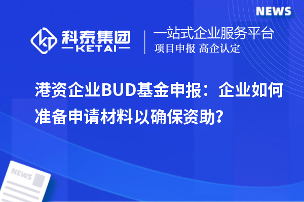 港資企業(yè)BUD基金申報：企業(yè)如何準(zhǔn)備申請材料以確保資助？