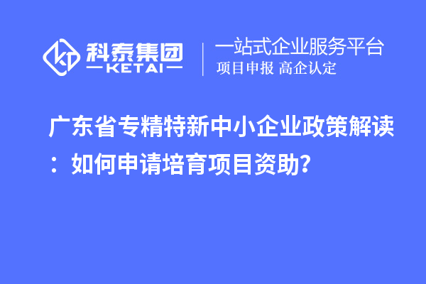 廣東省專精特新中小企業(yè)政策解讀：如何申請培育項目資助？