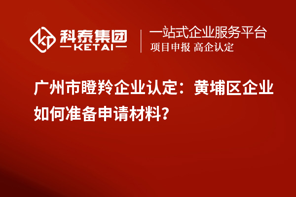 廣州市瞪羚企業(yè)認(rèn)定：黃埔區(qū)企業(yè)如何準(zhǔn)備申請(qǐng)材料？