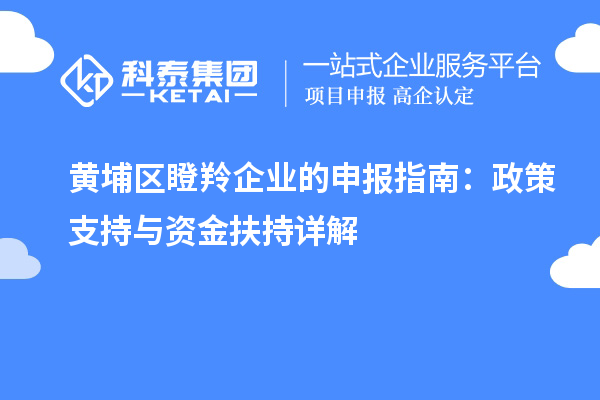 黃埔區(qū)瞪羚企業(yè)的申報指南:政策支持與資金扶持詳解