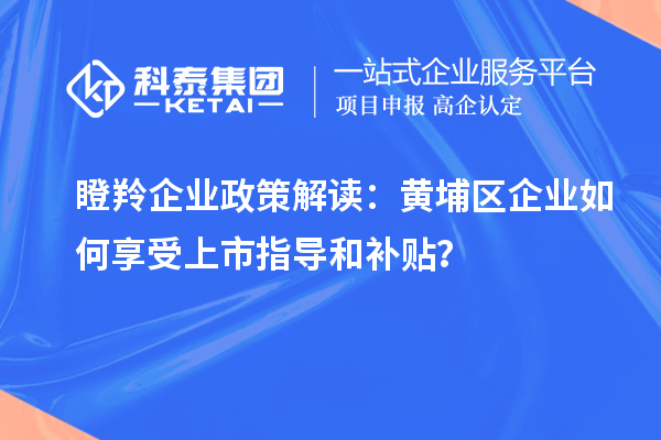 瞪羚企業(yè)政策解讀：黃埔區(qū)企業(yè)如何享受上市指導(dǎo)和補(bǔ)貼？