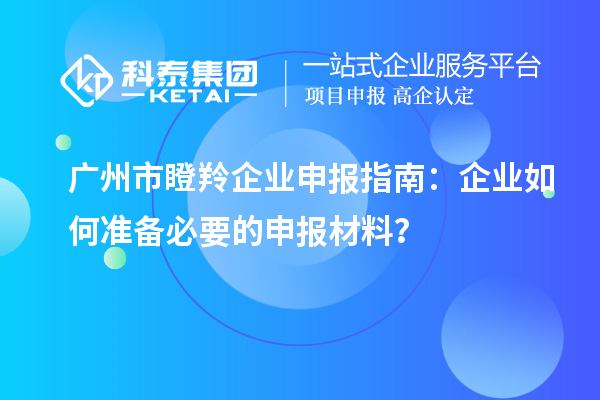廣州市瞪羚企業(yè)申報(bào)指南：企業(yè)如何準(zhǔn)備必要的申報(bào)材料？