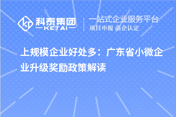 上規(guī)模企業(yè)好處多：廣東省小微企業(yè)升級獎勵政策解讀