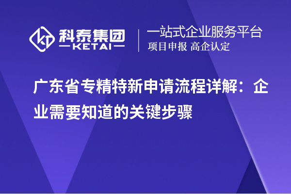 廣東省專精特新申請流程詳解:企業(yè)需要知道的關鍵步驟