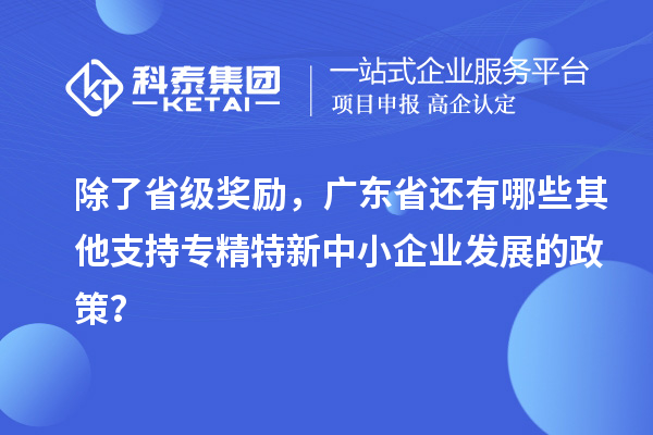 除了省級獎(jiǎng)勵(lì)，廣東省還有哪些其他支持專精特新中小企業(yè)發(fā)展的政策？