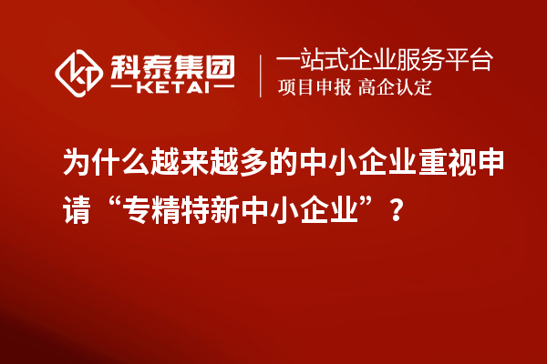 為什么越來越多的中小企業(yè)重視申請(qǐng)“專精特新中小企業(yè)”？