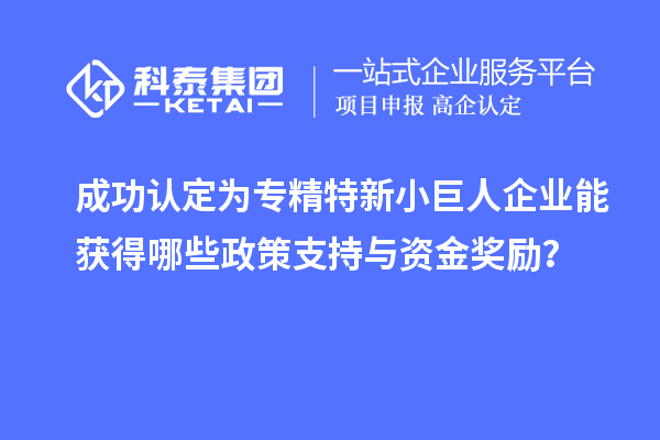 成功認(rèn)定為專精特新小巨人企業(yè)能獲得哪些政策支持與資金獎勵？