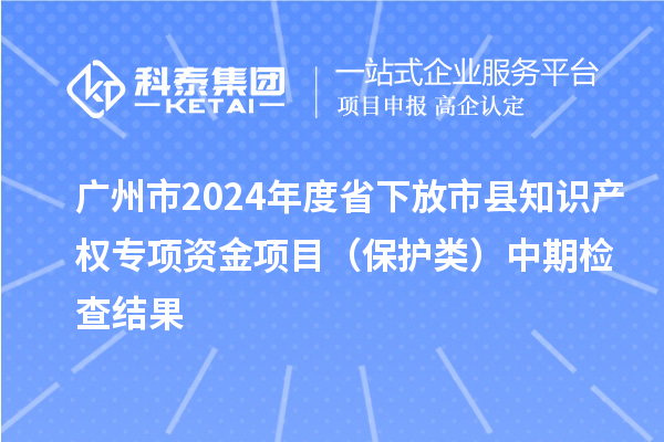 廣州市2024年度省下放市縣知識(shí)產(chǎn)權(quán)專項(xiàng)資金項(xiàng)目(保護(hù)類)中期檢查結(jié)果