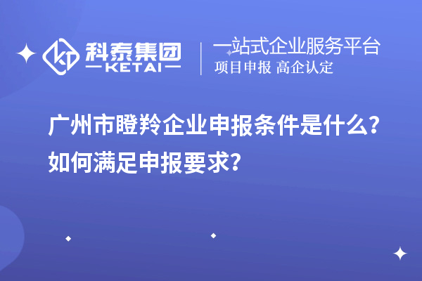 廣州市瞪羚企業(yè)申報(bào)條件是什么？如何滿足申報(bào)要求？