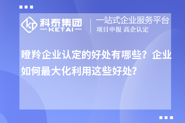 瞪羚企業(yè)認(rèn)定的好處有哪些？企業(yè)如何最大化利用這些好處？