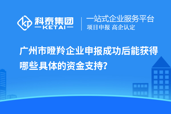 廣州市瞪羚企業(yè)申報(bào)成功后能獲得哪些具體的資金支持？