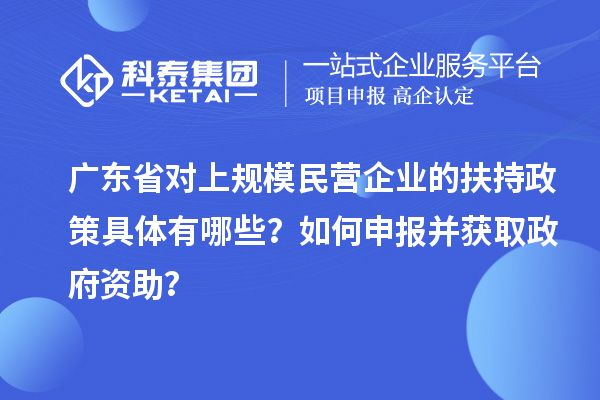 廣東省對上規(guī)模民營企業(yè)的扶持政策具體有哪些？如何申報并獲取政府資助？
