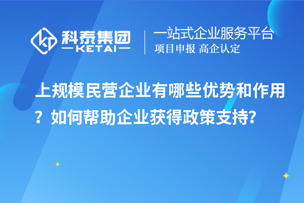 上規(guī)模民營企業(yè)有哪些優(yōu)勢和作用？如何幫助企業(yè)獲得政策支持？