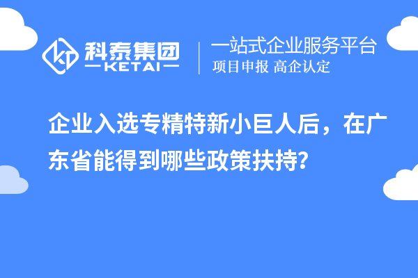 企業(yè)入選專精特新小巨人后，在廣東省能得到哪些政策扶持？