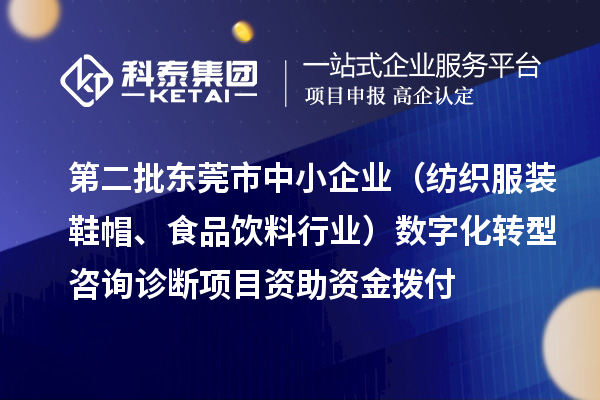 第二批東莞市中小企業(yè)（紡織服裝鞋帽、食品飲料行業(yè)）數字化轉型咨詢診斷項目資助資金撥付