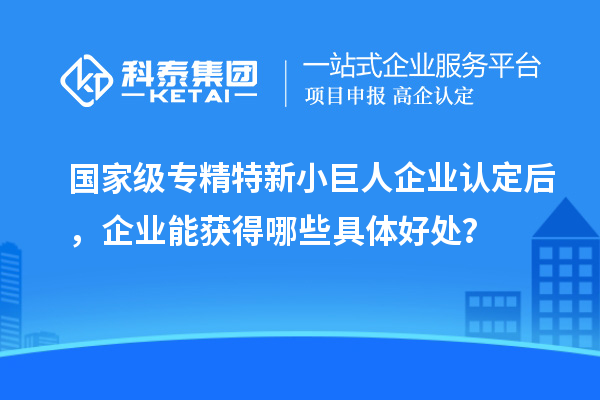 國家級專精特新小巨人企業(yè)認定后，企業(yè)能獲得哪些具體好處？