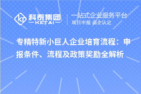 專精特新小巨人企業(yè)培育流程：申報條件、流程及政策獎勵全解析