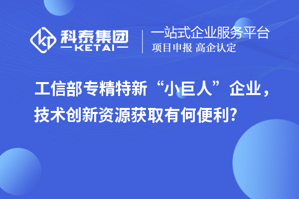 工信部專精特新 “小巨人” 企業(yè)，技術(shù)創(chuàng)新資源獲取有何便利?