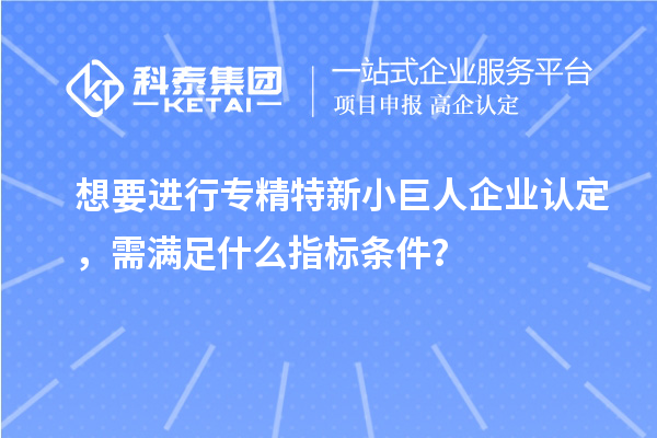 想要進(jìn)行專精特新小巨人企業(yè)認(rèn)定，需滿足什么指標(biāo)條件？