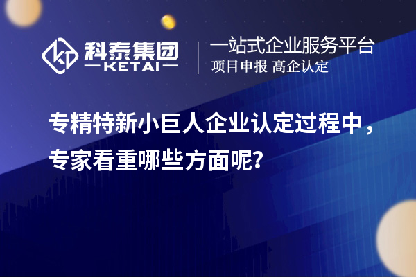 專精特新小巨人企業(yè)認定過程中，專家看重哪些方面呢？