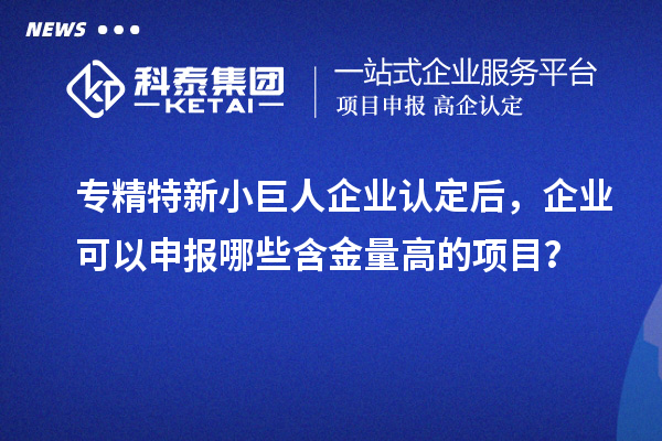 專精特新小巨人企業(yè)認定后，企業(yè)可以申報哪些含金量高的項目？