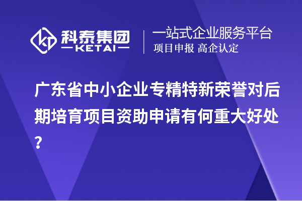 廣東省中小企業(yè)專精特新榮譽對后期培育項目資助申請有何重大好處？