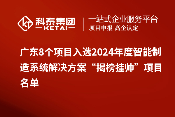 廣東8個項目入選2024年度智能制造系統解決方案“揭榜掛帥”項目名單